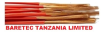 BARETEC TANZANIA LIMITED